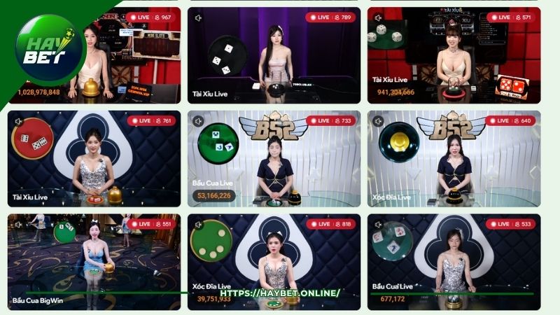 Các bước tham gia Live Casino HayBet nhanh nhất Các bước tham gia Live Casino HayBet nhanh nhất