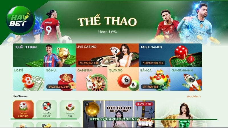 Hướng dẫn tham gia thể thao HayBet cho người mới Hướng dẫn tham gia thể thao HayBet cho người mới