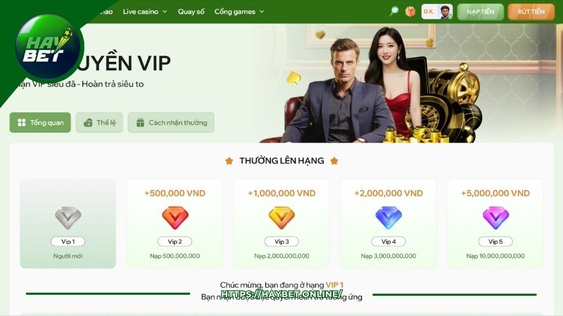 Khuyến mãi Haybet hấp dẫn dành cho mọi người chơi Khuyến mãi Haybet hấp dẫn dành cho mọi người chơi