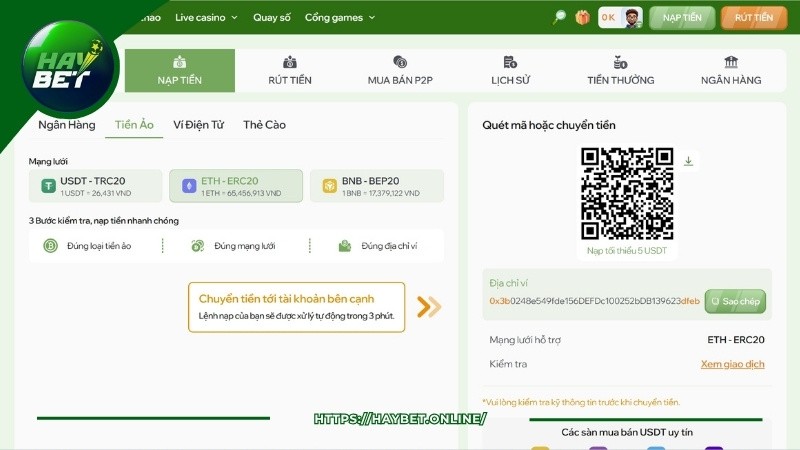 Nạp rút tiền tại Haybet nhanh chóng, không phát sinh lỗi Nạp rút tiền tại Haybet nhanh chóng, không phát sinh lỗi