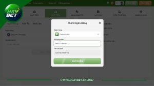 Hướng Dẫn Rút Tiền HayBet Dễ Dàng, Chuẩn Chỉ Từng Thao Tác